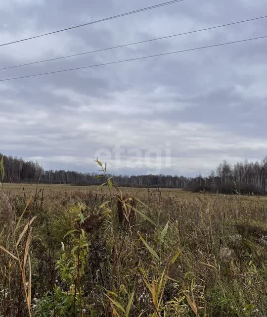 земля г Тюмень городской округ Тюмень, садовое товарищество Золотая Осень-2 фото 6