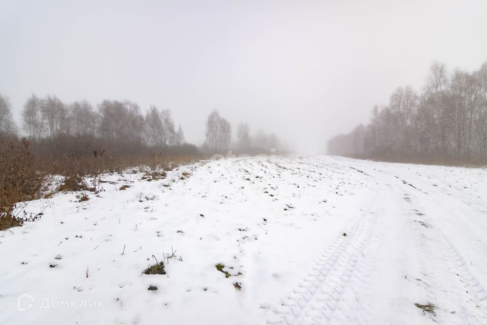 земля г Тюмень городской округ Тюмень, садовое товарищество Золотая Осень-2 фото 9