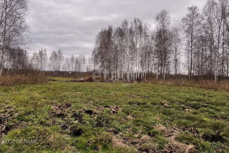 земля г Тюмень городской округ Тюмень, садовое товарищество Золотая Осень-2 фото 5