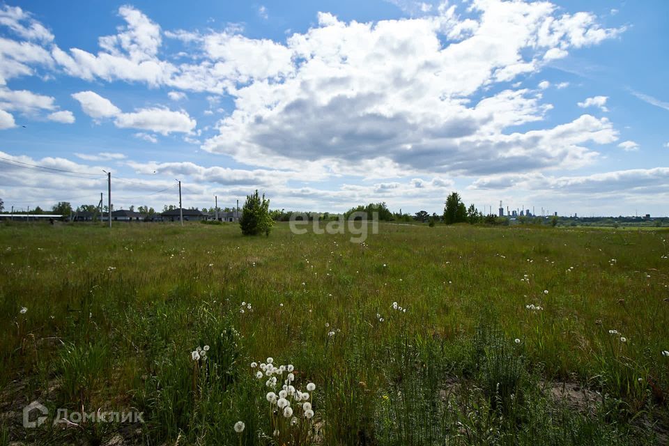 земля р-н Тюменский д Паренкина коттеджный посёлок Новый горизонт фото 10