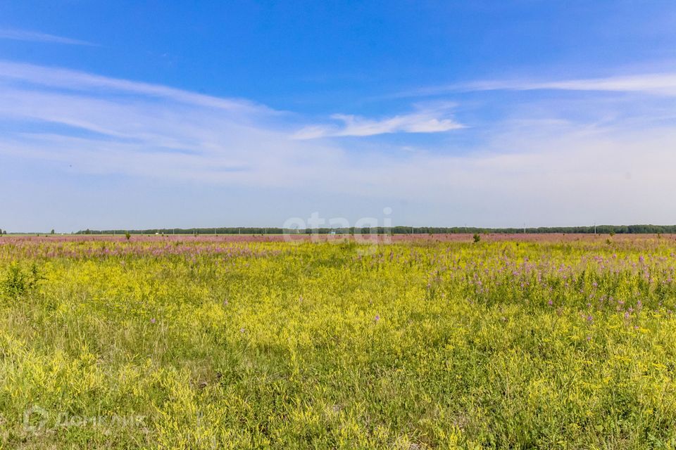 земля р-н Нижнетавдинский деревня Большой Хутор фото 8