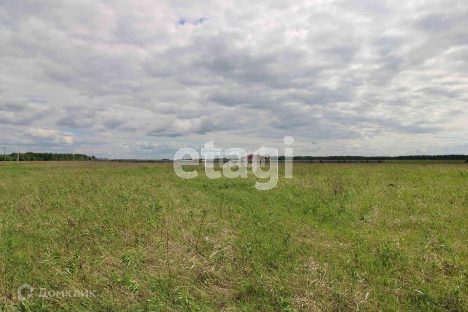 земля р-н Тюменский село Луговое фото 6