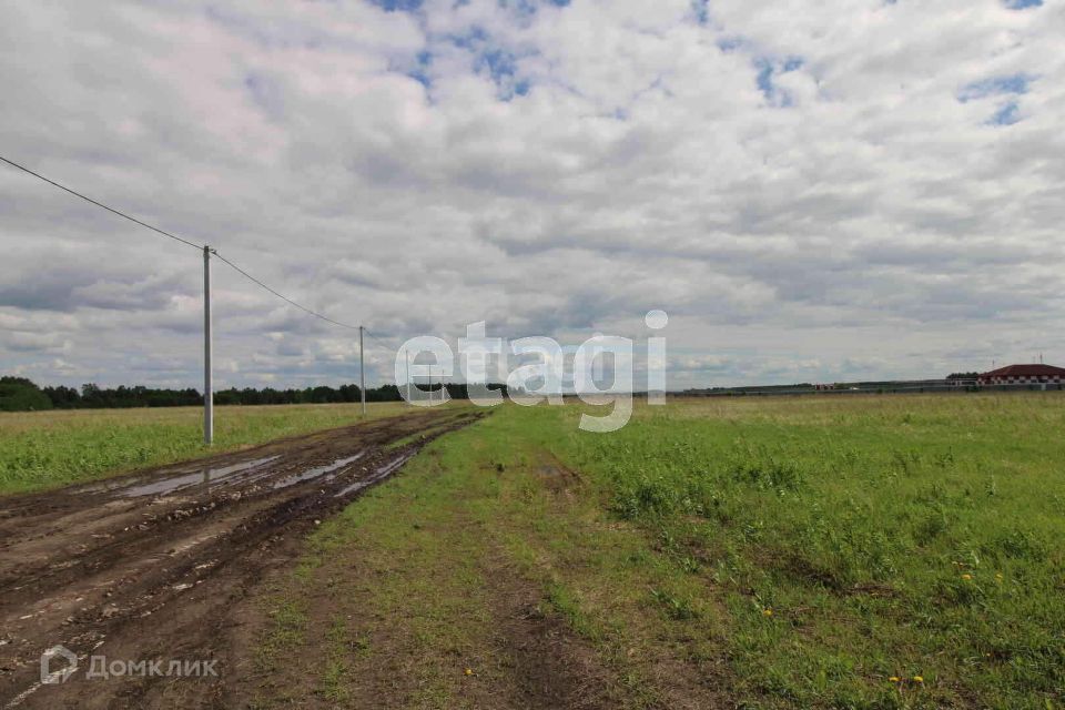 земля р-н Тюменский село Луговое фото 7