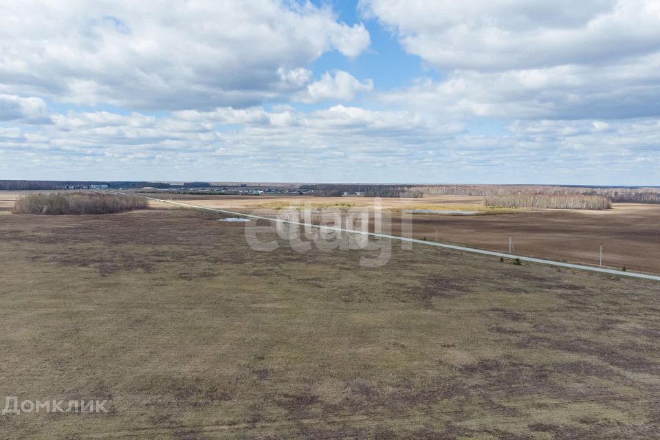 земля р-н Тюменский село Луговое фото 8