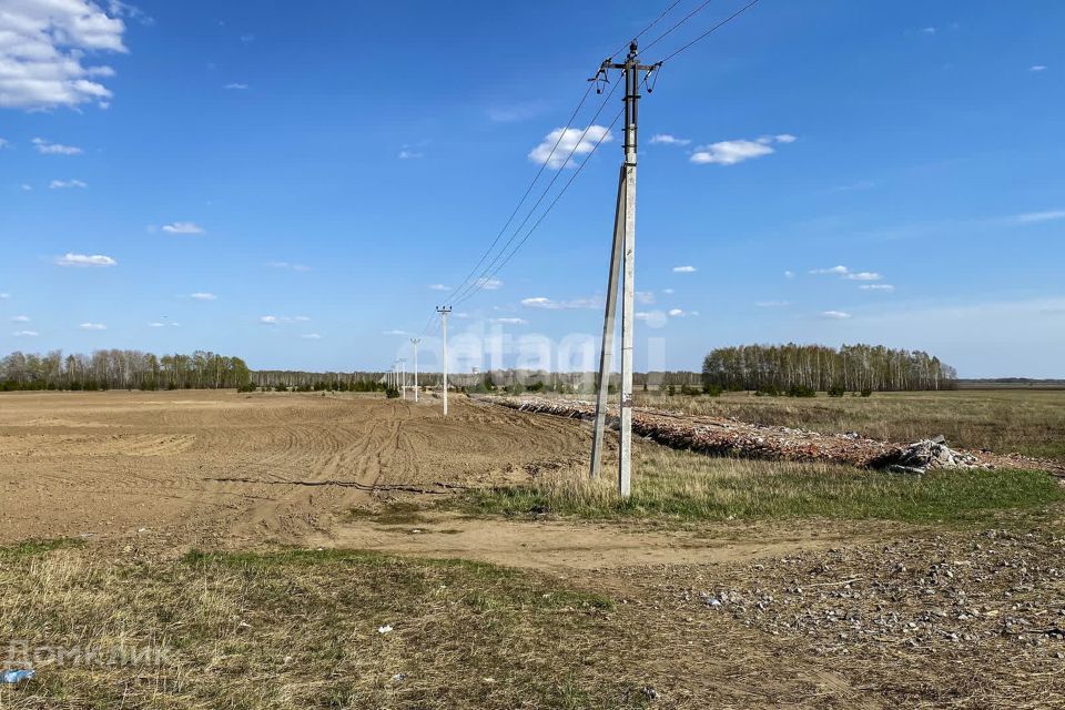 земля р-н Тюменский село Луговое фото 9