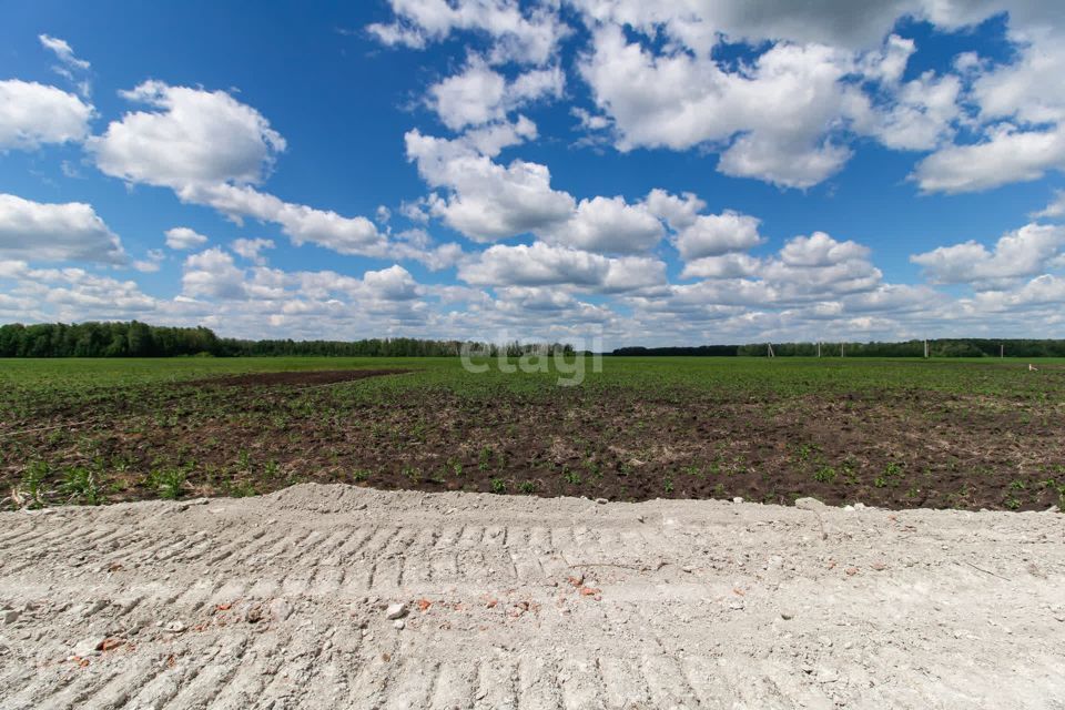 земля р-н Тюменский село Горьковка фото 5