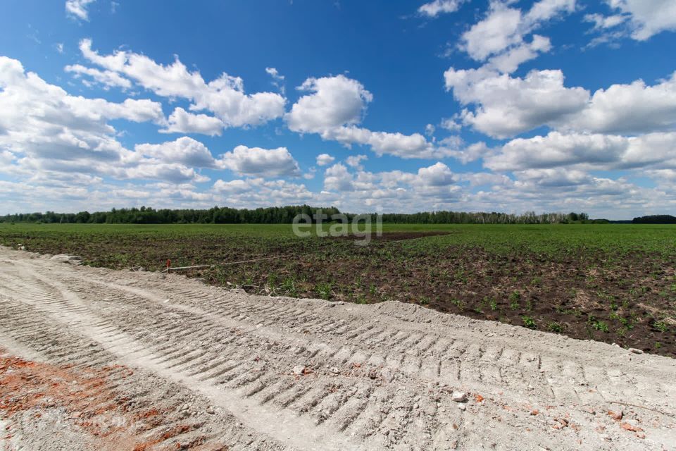 земля р-н Тюменский село Горьковка фото 6