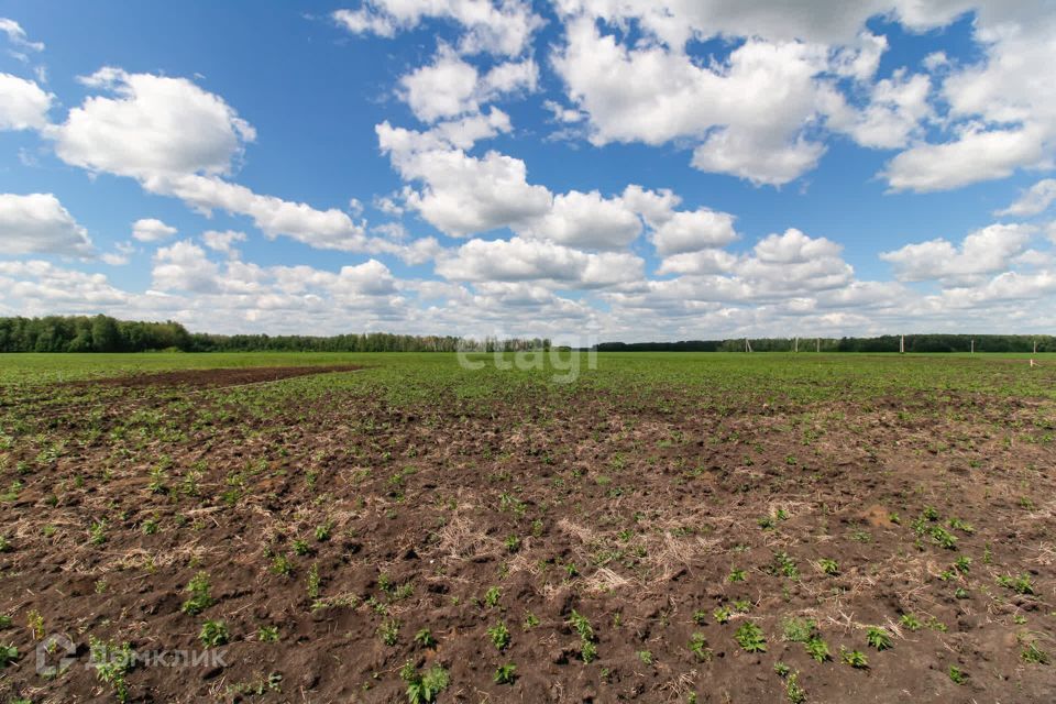 земля р-н Тюменский село Горьковка фото 8