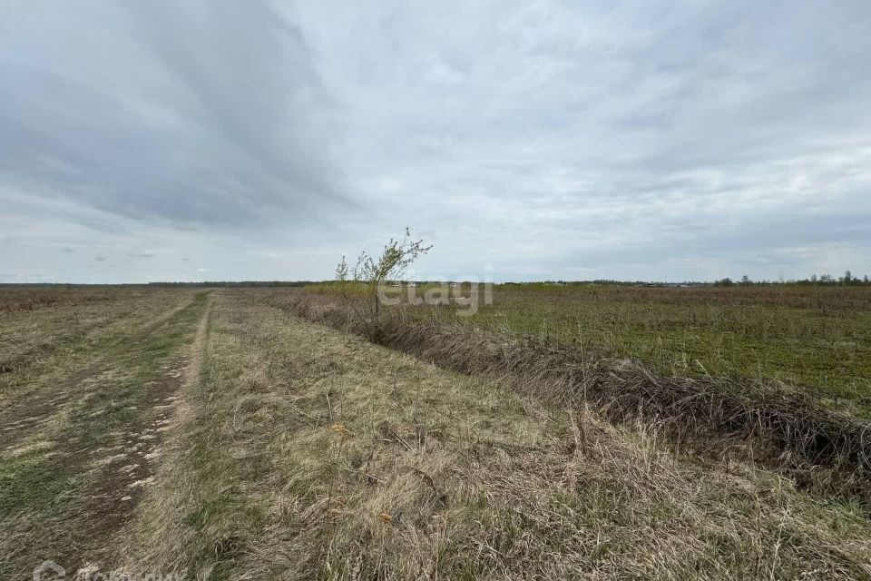 земля г Нижневартовск СОТ Озёрный, городской округ Нижневартовск фото 7