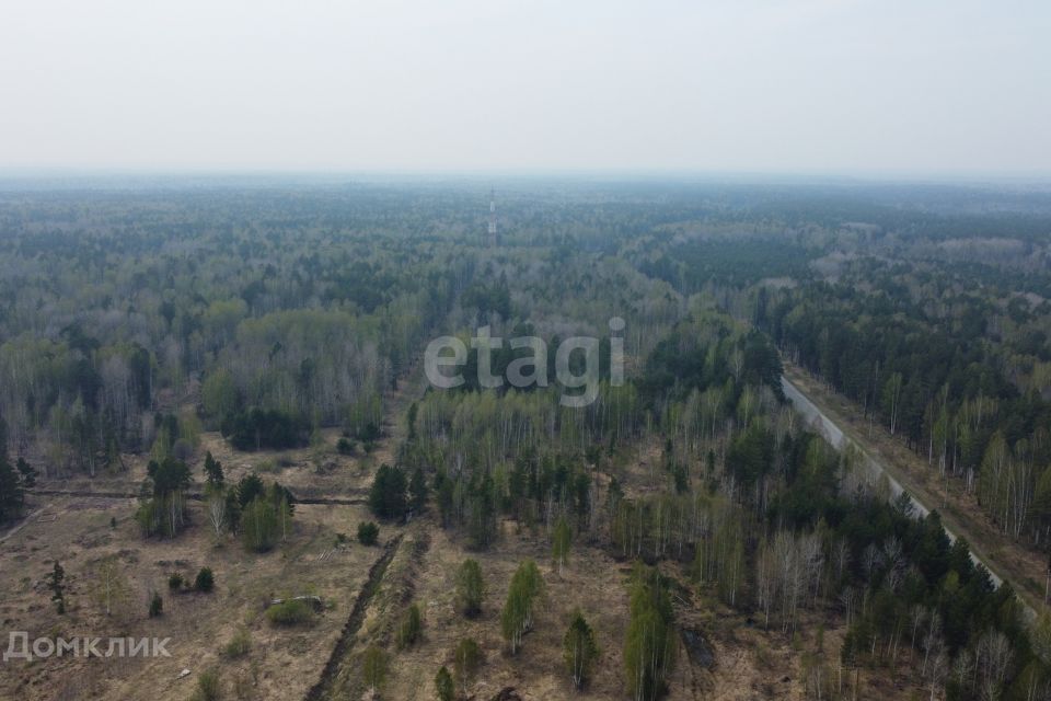 земля г Тюмень снт Сосновая поляна ул 25-я городской округ Тюмень фото 5