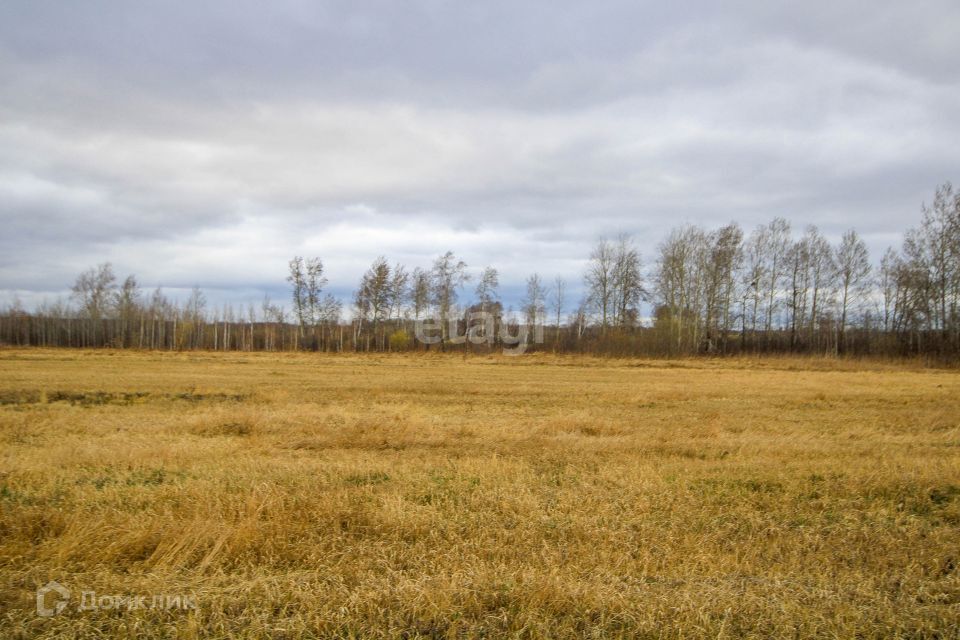 земля р-н Тюменский село Салаирка фото 6