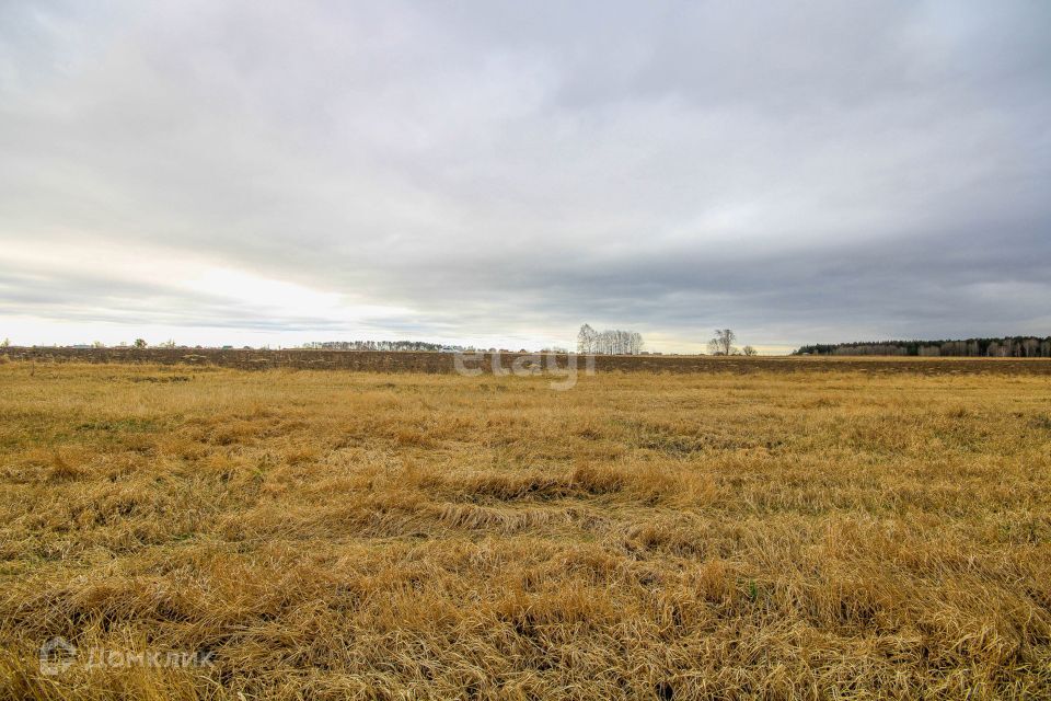 земля р-н Тюменский село Салаирка фото 7