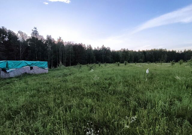 д Желыбино ул Солнечная фото