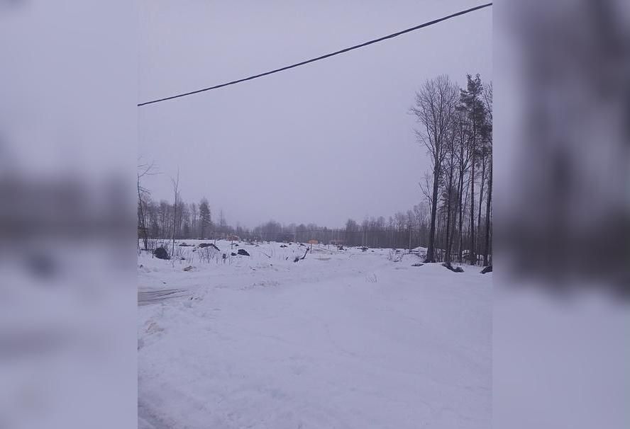 земля р-н Всеволожский г Всеволожск Всеволожское городское поселение фото 5