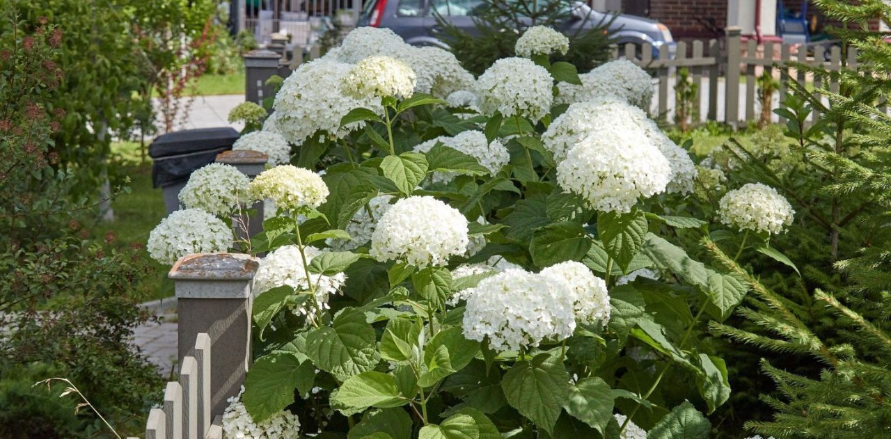 дом городской округ Истра д Исаково Нахабино, ул. Центральная, 1А фото 12