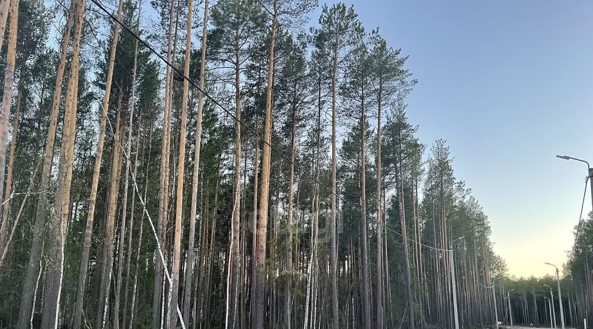 земля г Ханты-Мансийск снт Маяк ул. Аничковская, Сургут фото 4