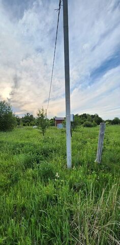 муниципальное образование Новоалександровское, Владимир фото