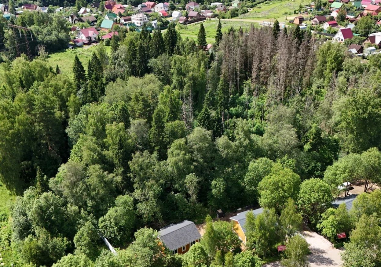 земля городской округ Солнечногорск рп Менделеево садоводческое товарищество Яблочный, 3-й Витаминный тупик, 2, г. о. Солнечногорск фото 11