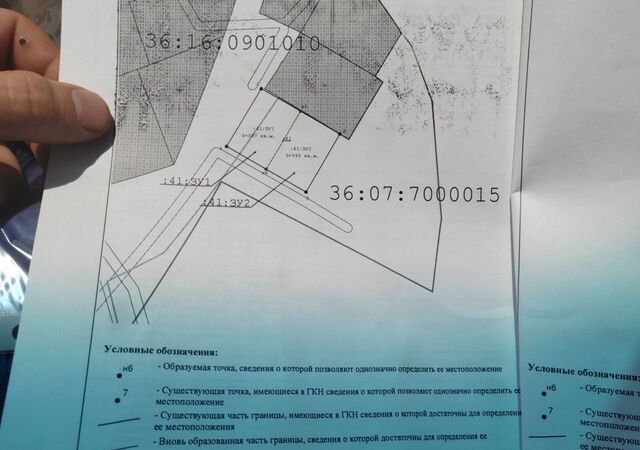 земля ул Свободы Воленское сельское поселение, пос. Воля фото