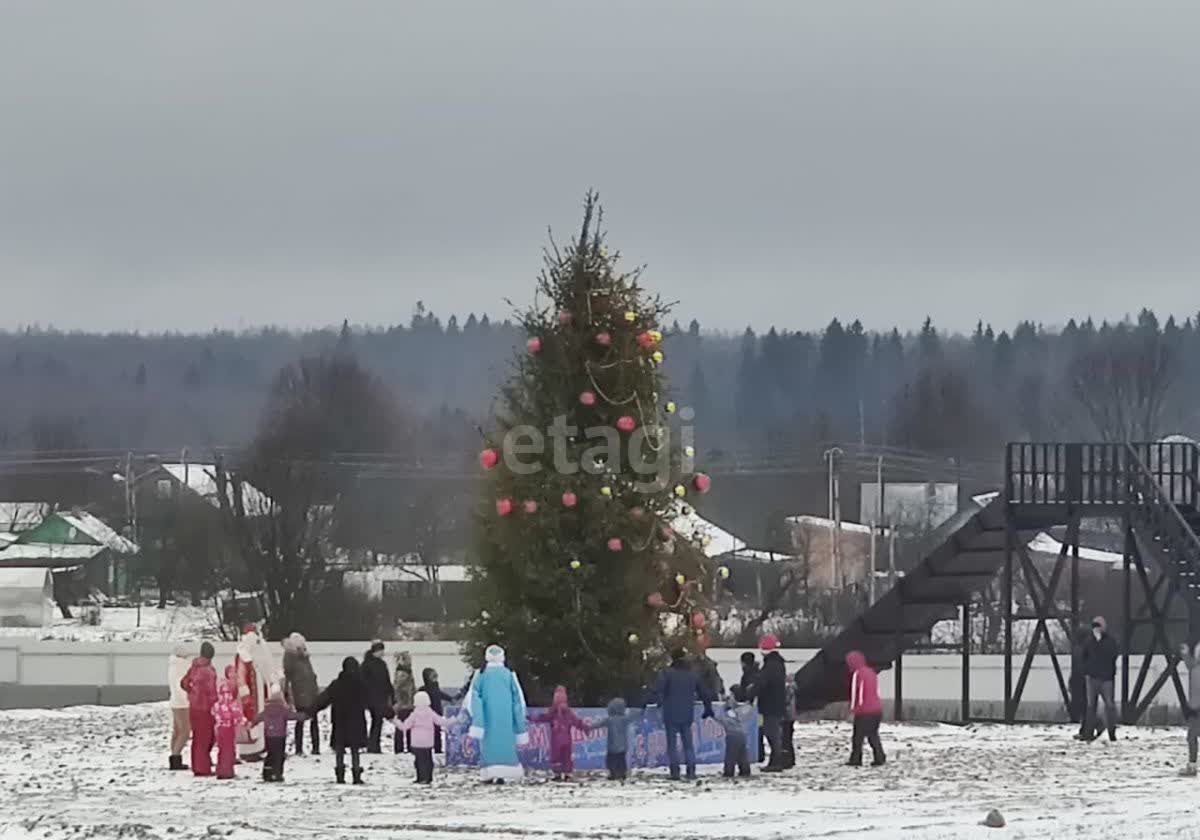 земля городской округ Истра д Никулино снт Истра 17, Истра фото 19