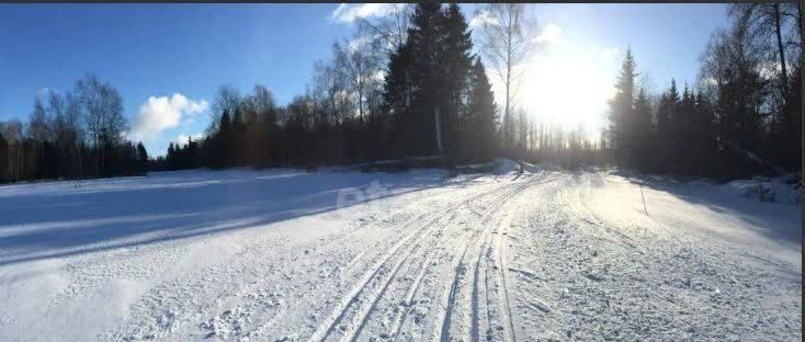 земля городской округ Истра д Никулино снт Истра 17, Истра фото 22