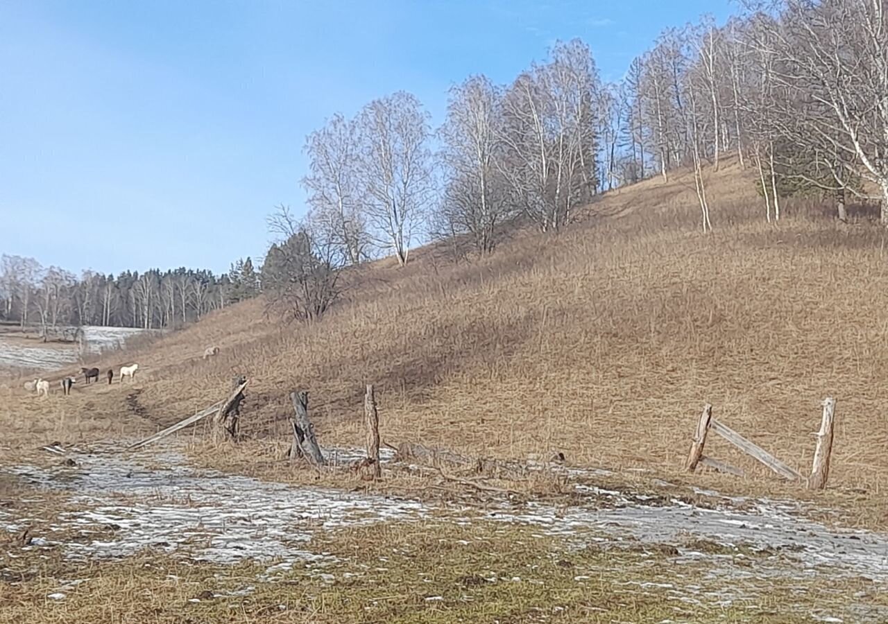 земля р-н Чемальский с Бешпельтир Горно-Алтайск фото 7