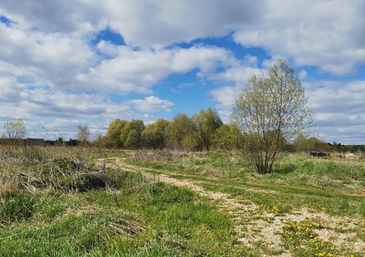 земля городской округ Наро-Фоминский д Вышегород Верея фото 3