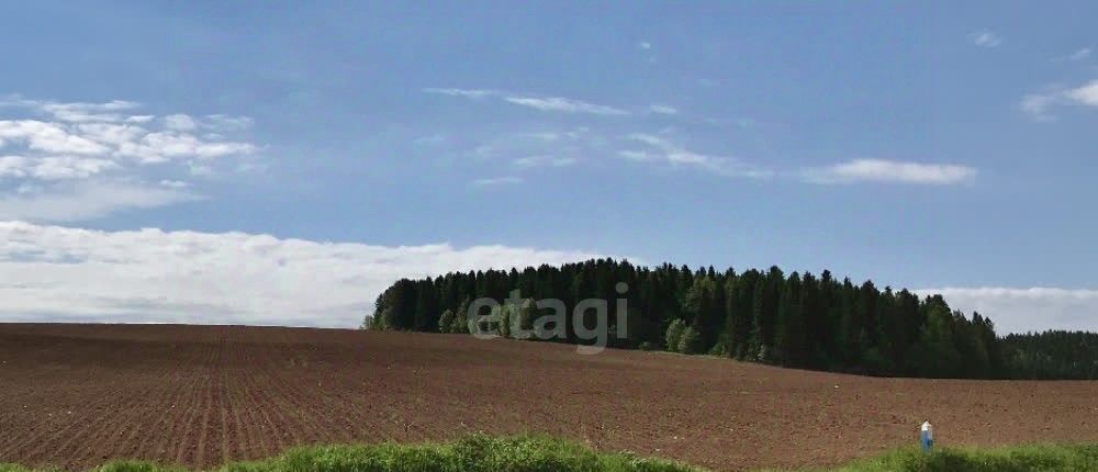 земля р-н Пермский с Башкултаево Новое Башкултаево кп фото 1