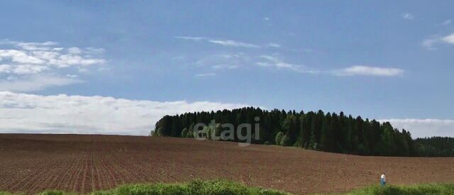 Новое Башкултаево кп фото