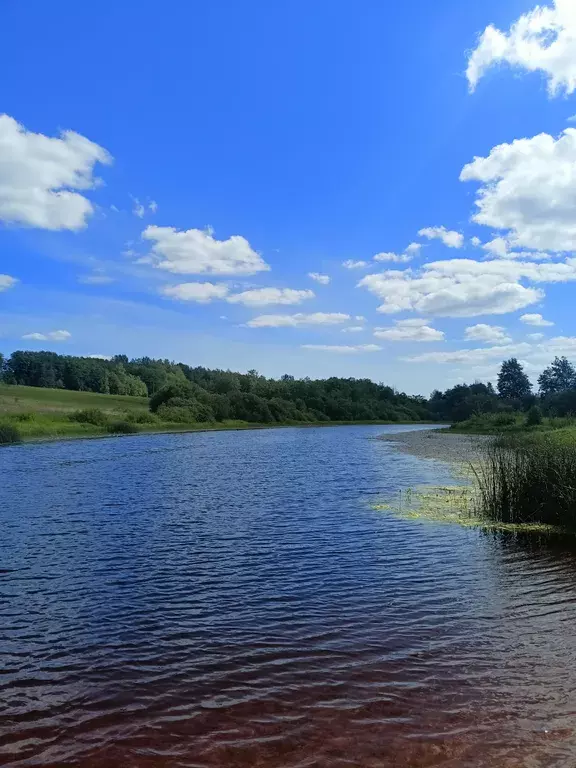 дом р-н Лужский г Луга Большой Волок деревня, б/н фото 8