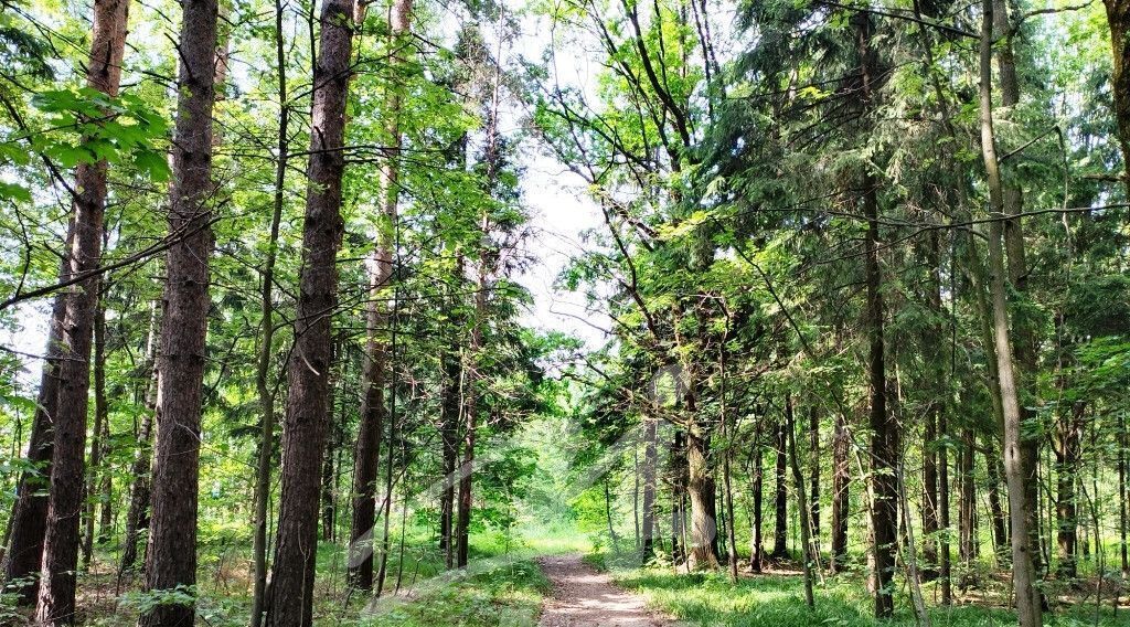 дом городской округ Ленинский п Горки Ленинские Домодедовская, ул. Лесная фото 11