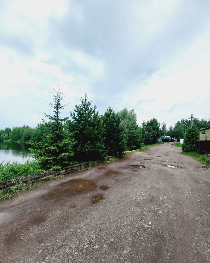 земля городской округ Богородский г Ногинск снт Ветеран Воровского фото 4