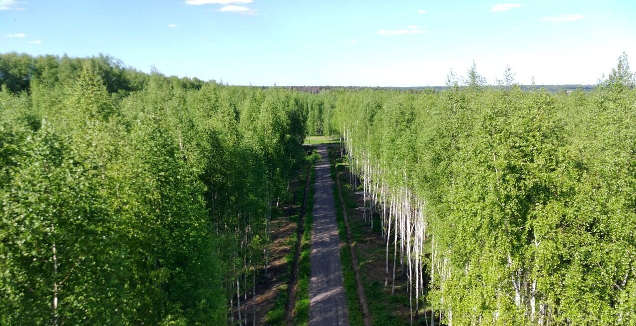 земля городской округ Солнечногорск коттеджный пос. Семейный Истра фото 13