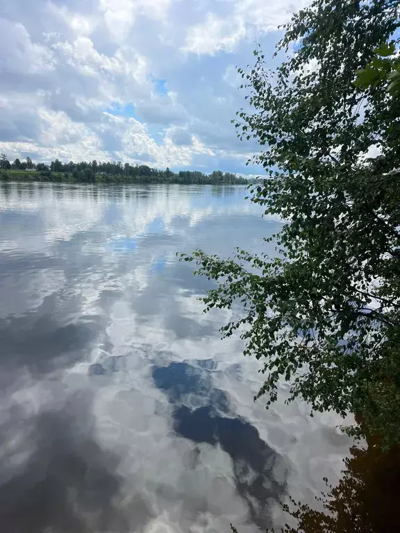 дом р-н Всеволожский д Оранжерейка кв-л 1-й 166 Санкт-Петербург фото 31