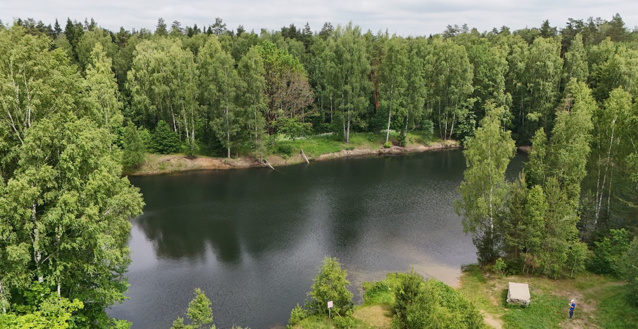 земля г Лосино-Петровский д Райки ул Свободы 17 рп Свердловский фото 7