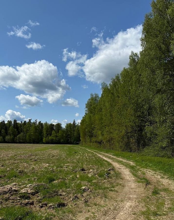 земля г Лосино-Петровский д Райки ул Свободы 17 рп Свердловский фото 26