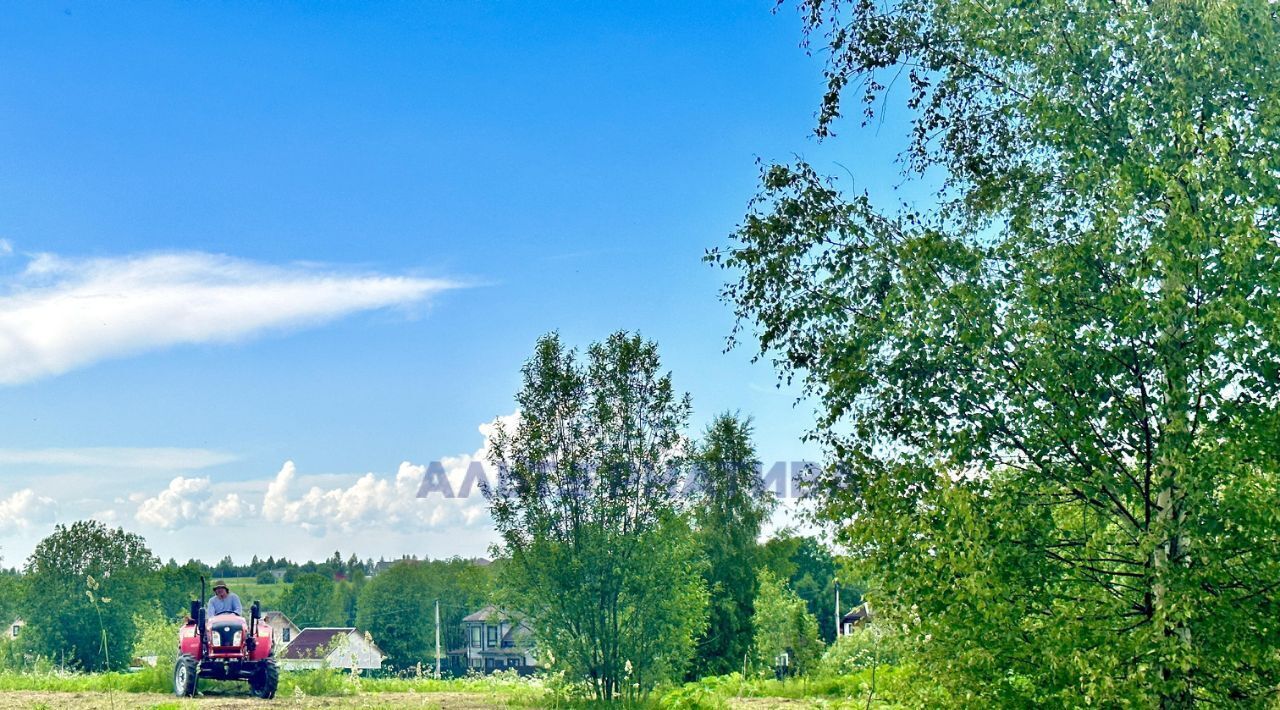 земля Переславль-Залесский городской округ, д. Большие Сокольники фото 4