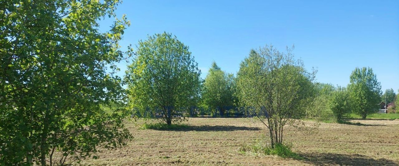 земля Переславль-Залесский городской округ, д. Большие Сокольники фото 7