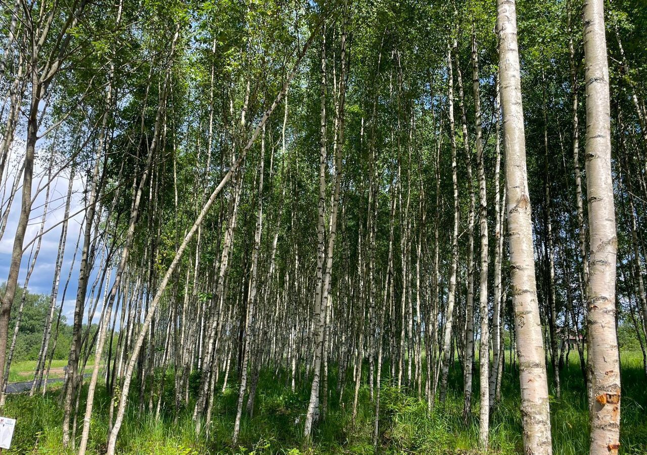 земля городской округ Истра д Сокольники Истра фото 34