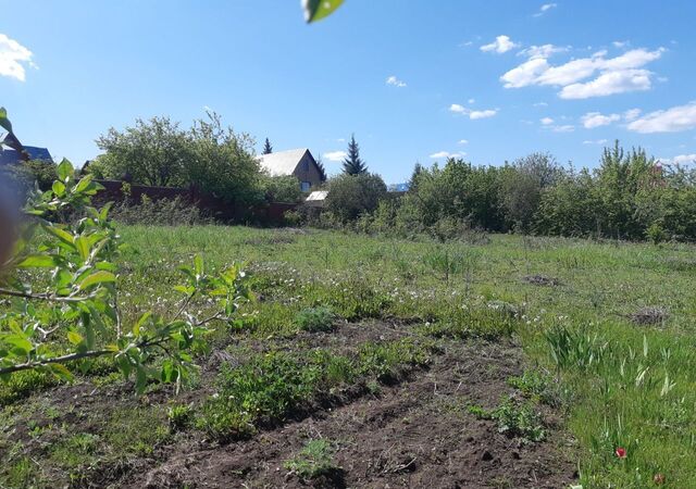 Чишминский р-н, сельсовет, 98/1, Алкино-2, Аровский фото