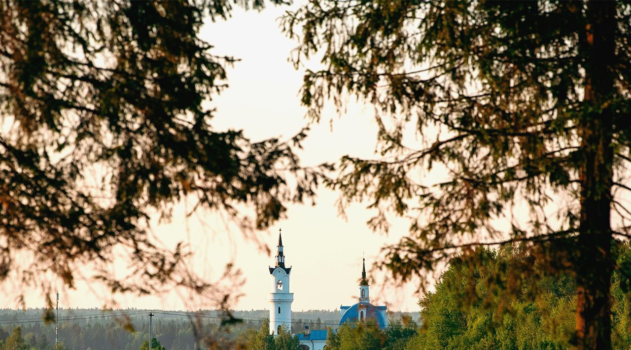 земля городской округ Солнечногорск п Лунёво снт Полянка фото 18