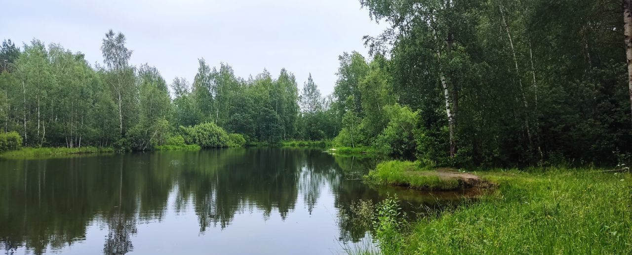 земля городской округ Дмитровский д Удино Икша фото 4