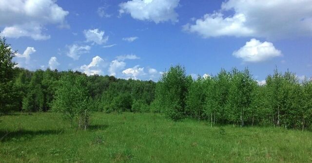 земля сельское поселение Некрасово, Таруса фото