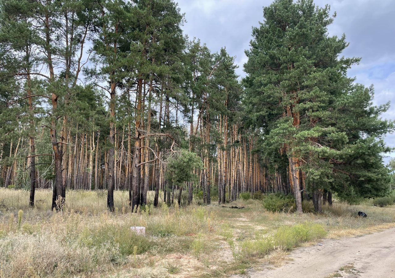 земля г Воронеж р-н Левобережный ул Совхозная фото 2