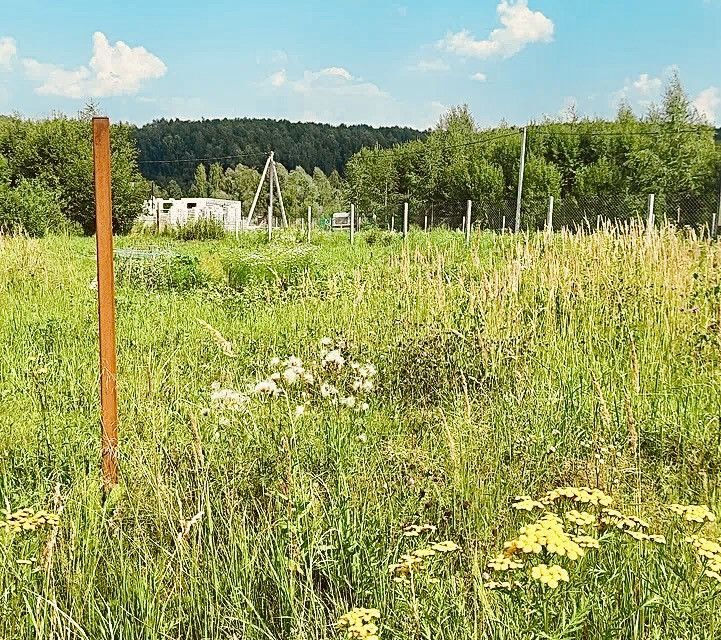 земля р-н Богородский деревня Трестьяны фото 7