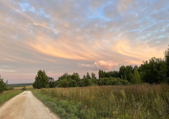 земля муниципальное образование Брызгаловское, Камешково фото