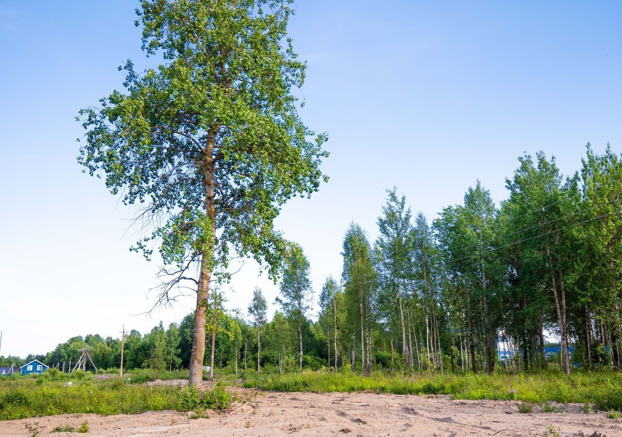 земля р-н Кировский г Шлиссельбург Шлиссельбургское городское поселение фото 14