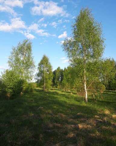 земля Титовщинское сельское поселение, Демидов фото