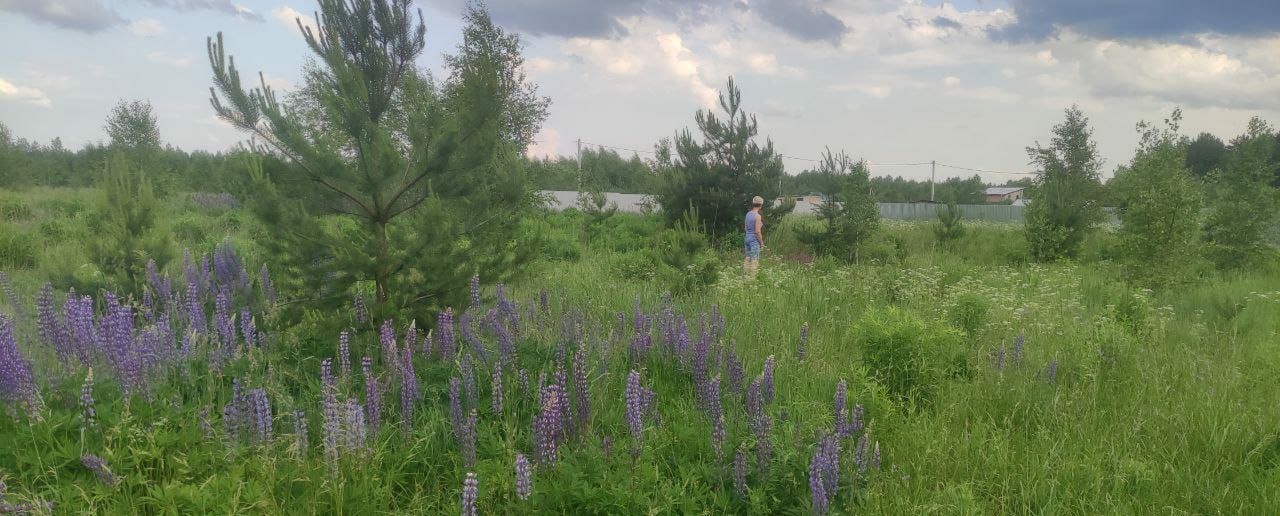 земля городской округ Богородский с Стромынь 48 км, Черноголовка, Щёлковское шоссе фото 1