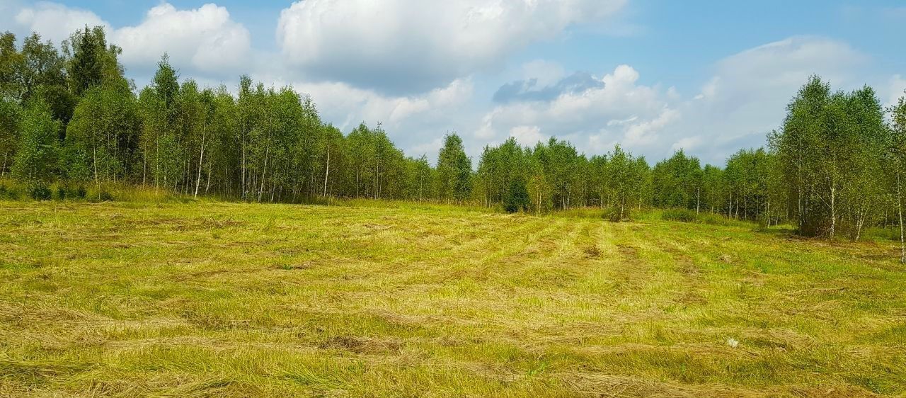 земля городской округ Наро-Фоминский д Настасьино Наро-Фоминск фото 28